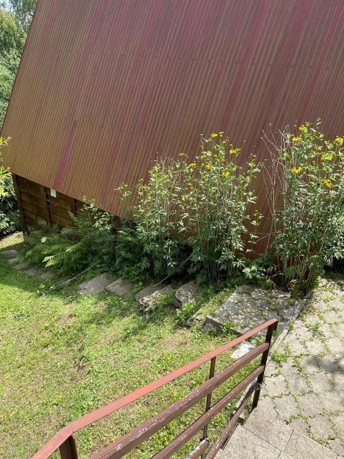 Domek Na Gorze Z Pieknym Widokiem Bukowiec  Eksteriør billede